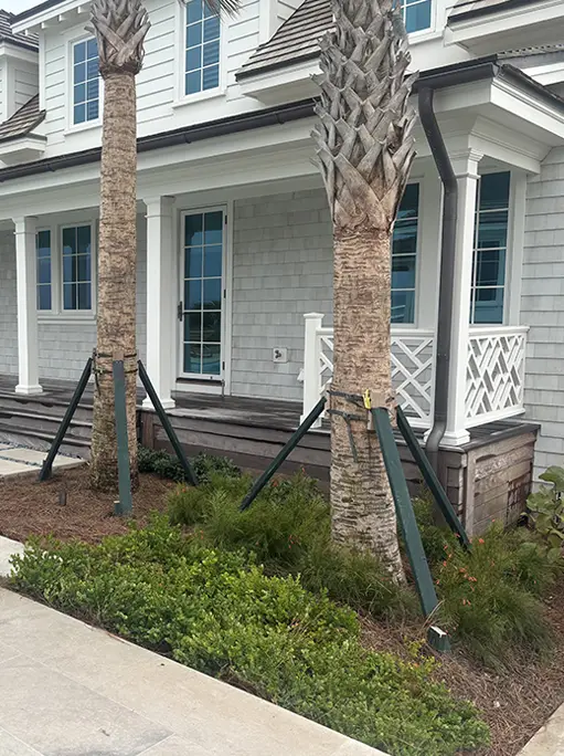 residential landscaping jacksonville beach fl